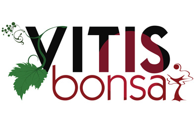 Logotipo Vitis